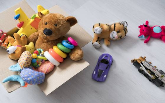 Toy Storage Solutions in Singapore